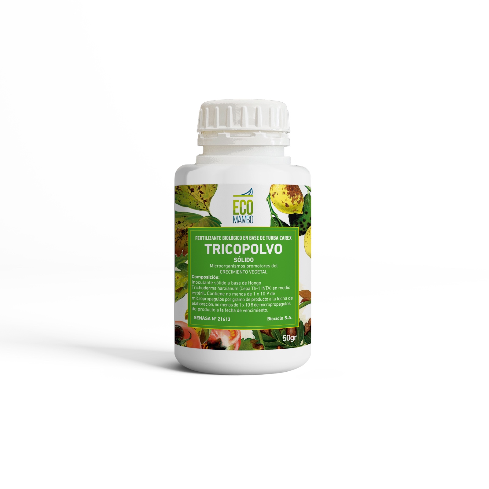 PHOTO-2025-11-14-10-38-49